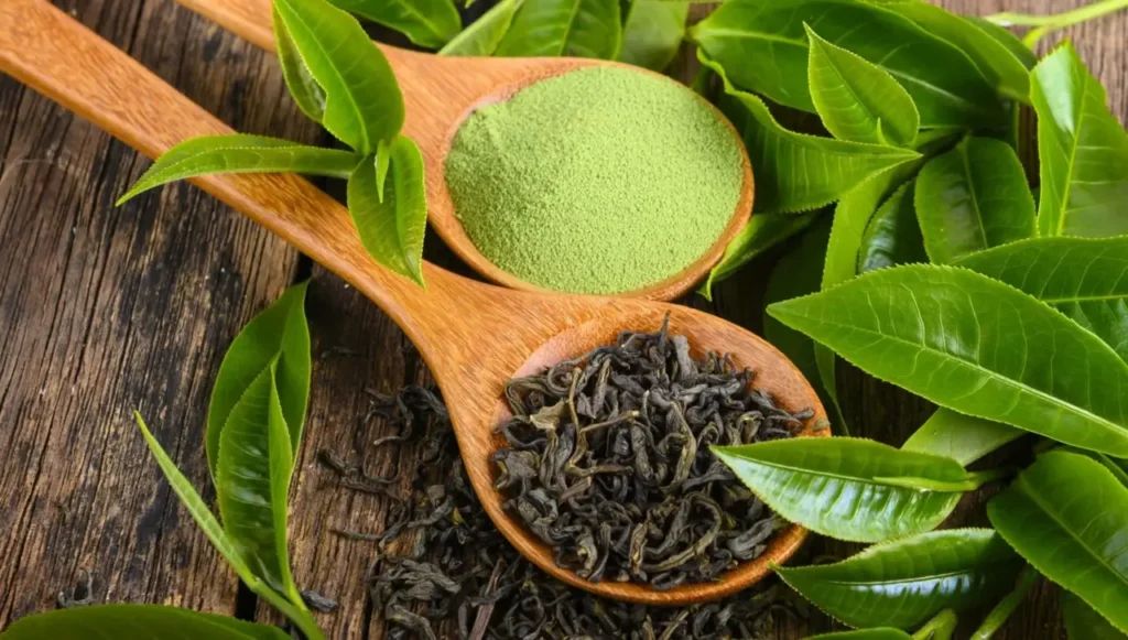 Non bere mai tè verde dopo quest’ora: ecco cosa può succedere Non bere mai tè verde dopo quest’ora: ecco cosa può succedere