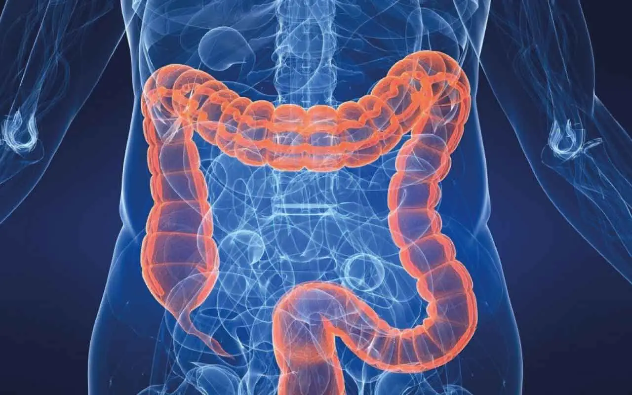 Allarme per un alimento diffuso che danneggia la salute cerebrale degli italiani Immagine selezionata