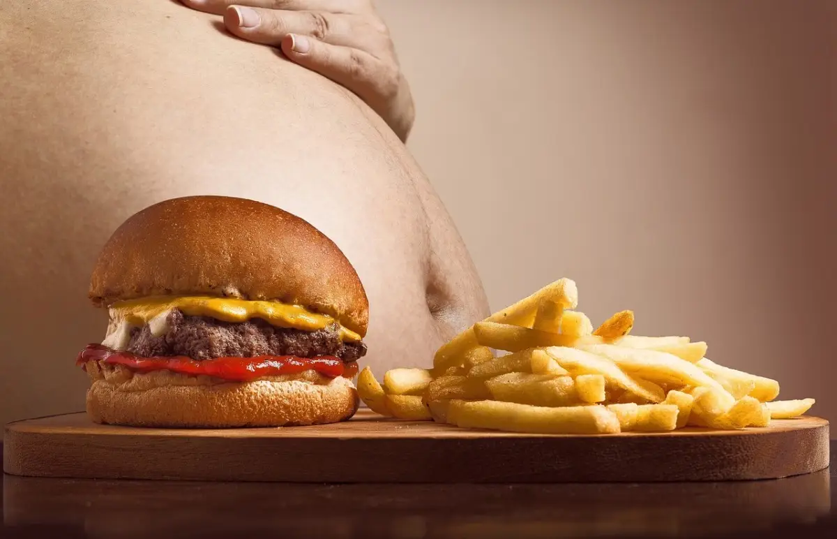 Allarme salmonella: ritirati gli hamburger di pollo dai supermercati, ecco cosa sapere Immagine selezionata