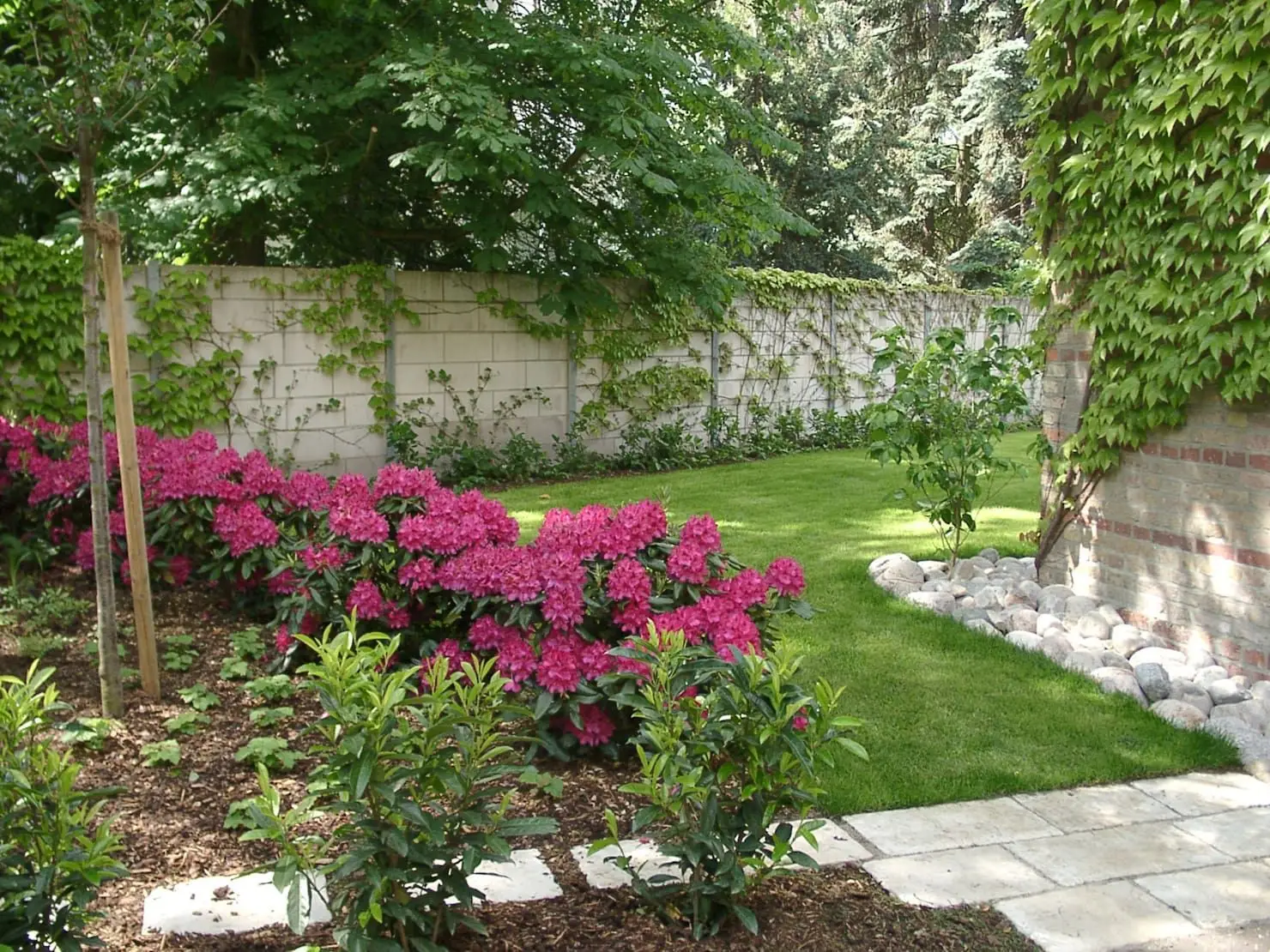 Come ottenere un prato impeccabile in primavera: i consigli degli esperti per un giardino perfetto