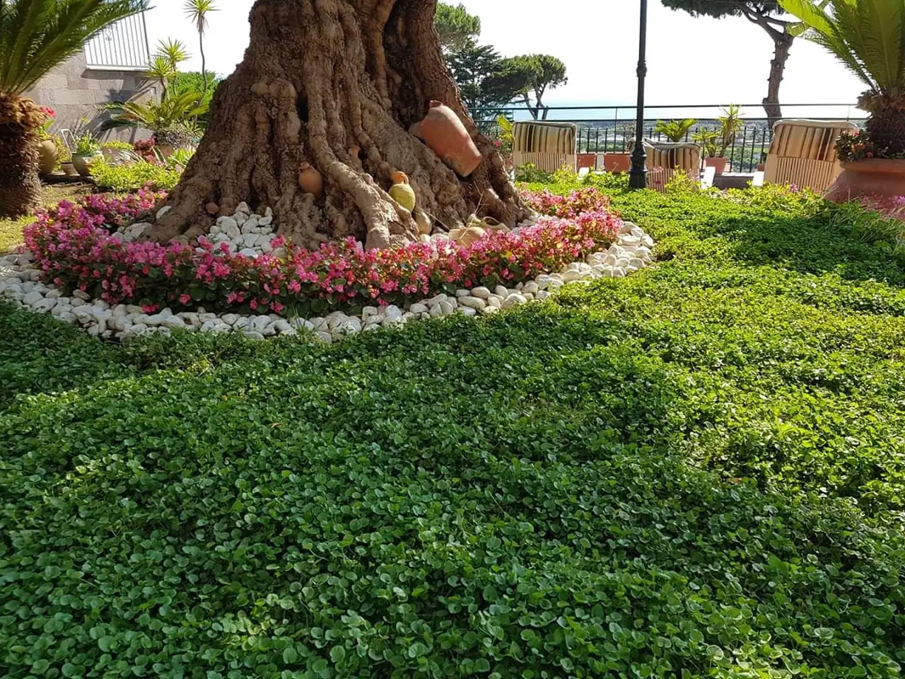 Sale grosso contro le erbacce il metodo dei giardinieri per eliminarle Immagine selezionata