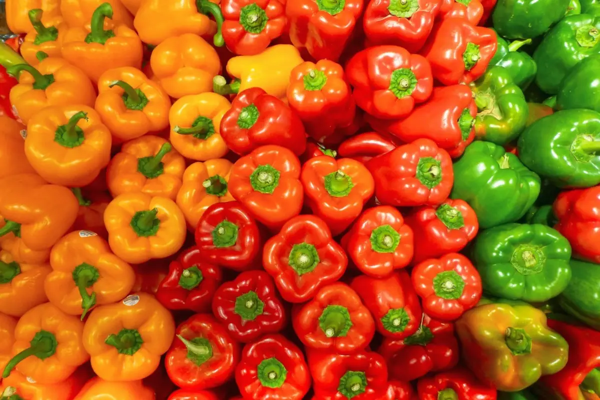 Attenzione alla paprika in eccesso potrebbe causare irritazione allo stomaco Attenzione alla paprika in eccesso potrebbe causare irritazione allo stomaco