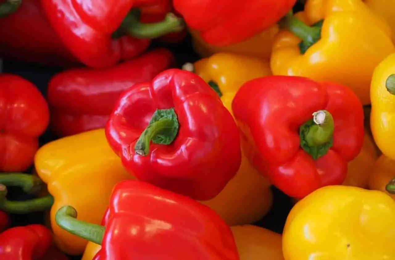 Attenzione alla paprika in eccesso potrebbe causare irritazione allo stomaco Attenzione alla paprika in eccesso potrebbe causare irritazione allo stomaco