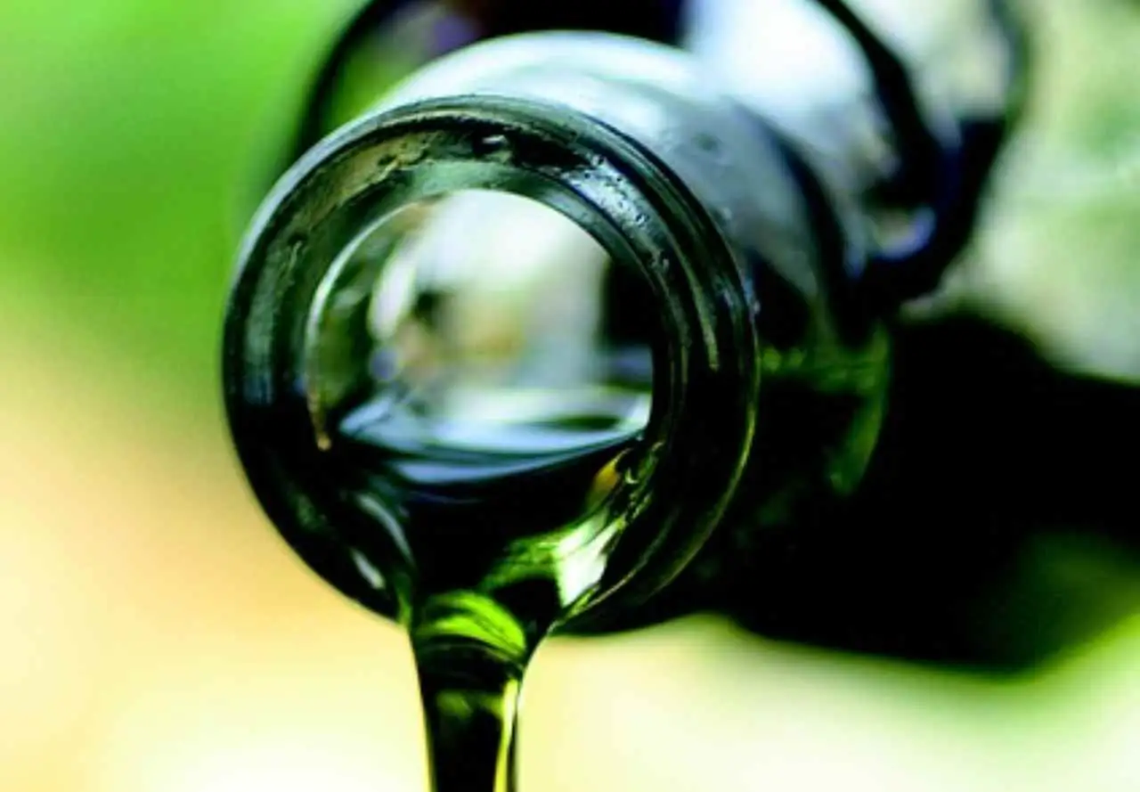 Olio di lino i consigli per favorire la regolarità intestinale Olio di lino i consigli per favorire la regolarità intestinale