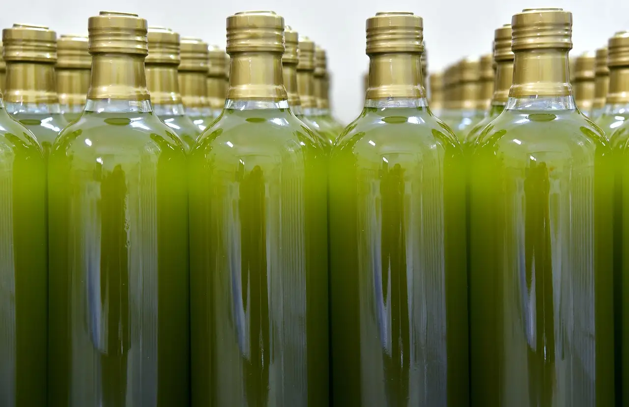 Olio di lino i consigli per favorire la regolarità intestinale Olio di lino i consigli per favorire la regolarità intestinale