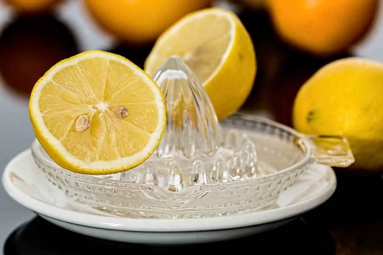 Frullatore mai lavato senza smontarlo aumenta il rischio di muffa Frullatore mai lavato senza smontarlo aumenta il rischio di muffa