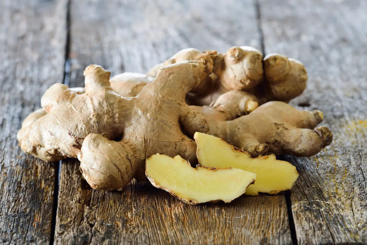Come usare il ginseng per migliorare la concentrazione Come usare il ginseng per migliorare la concentrazione