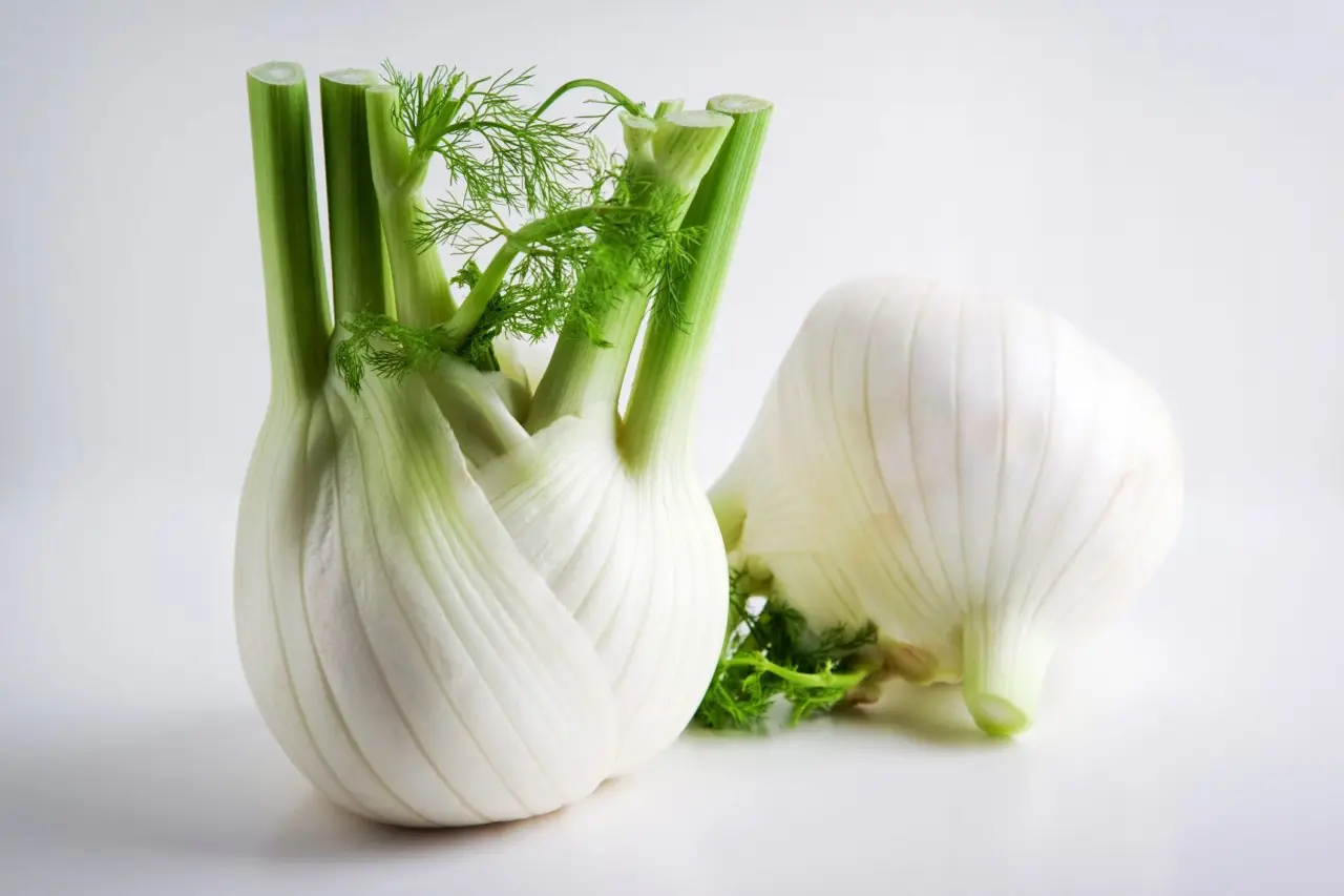 Guida pratica alla coltivazione del finocchio sul balcone
